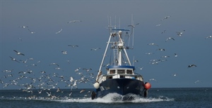 Pesca: da Portofino a Goro, tragedie che riaprono il nodo...